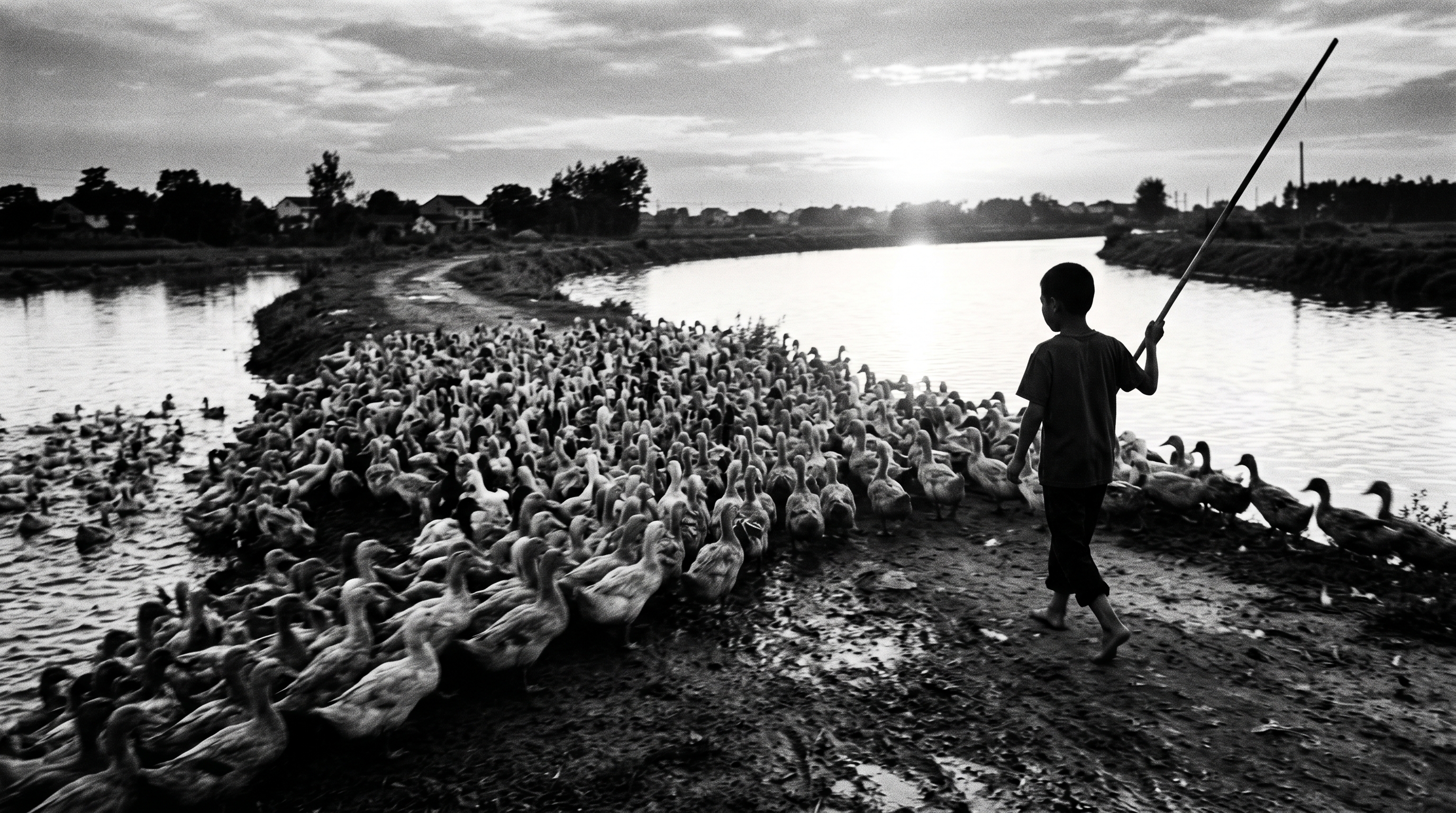 THE CONTACT SHEET #03